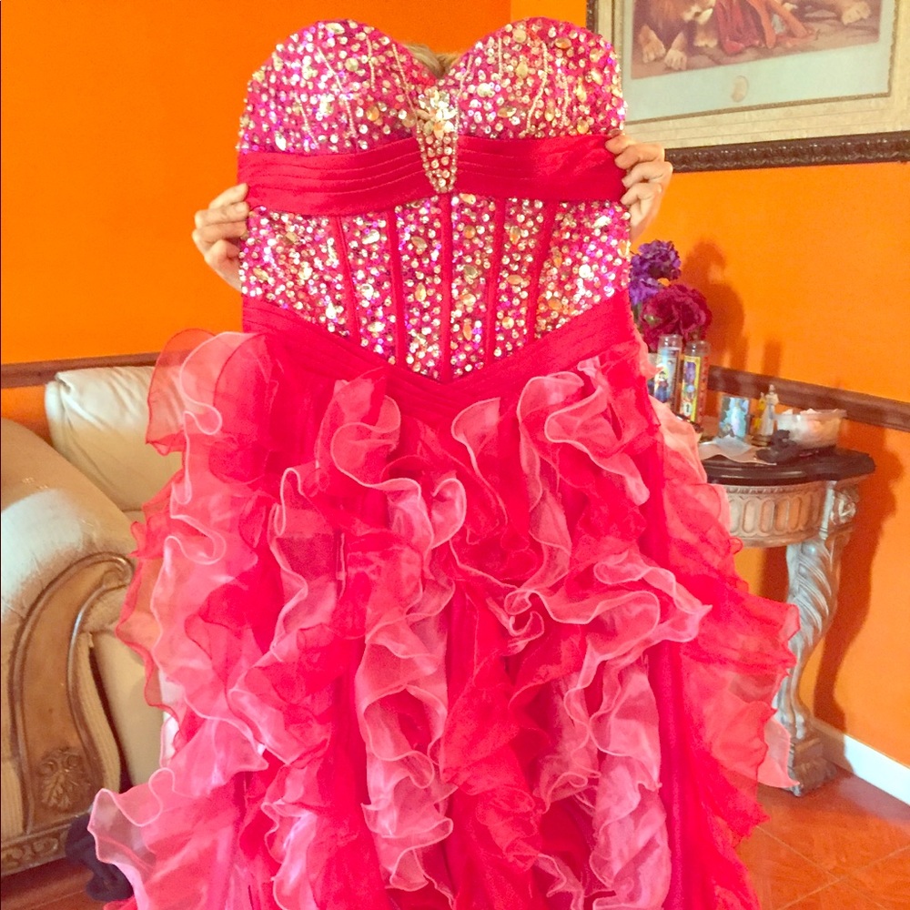 Quinceañera dress/ Sweet 15 dress